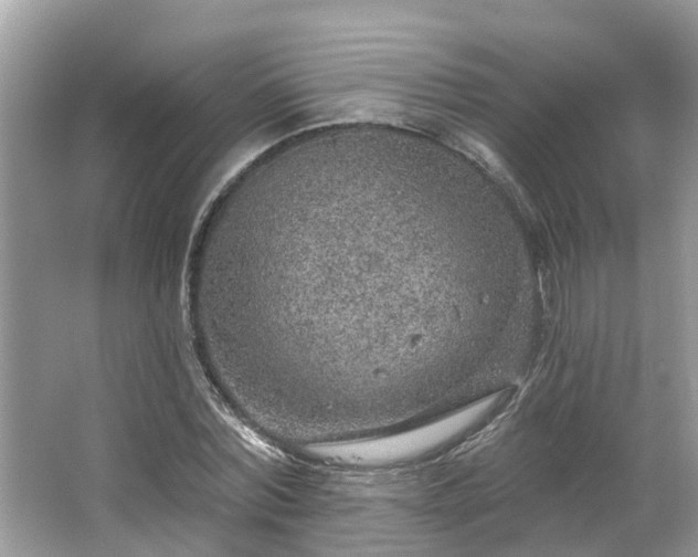 X0000063450780200601231351