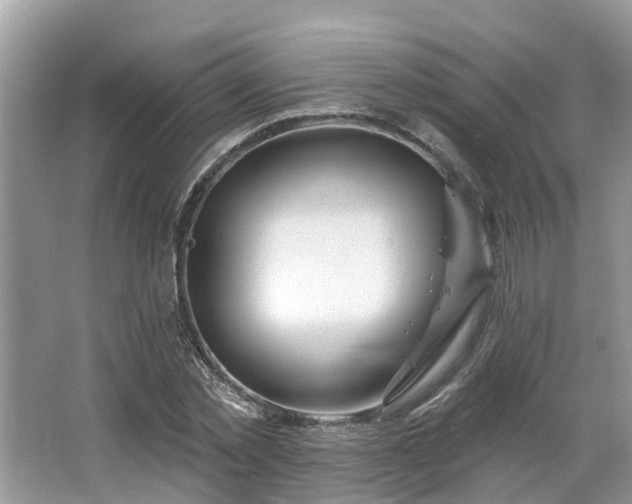 X0000063450781200601231351