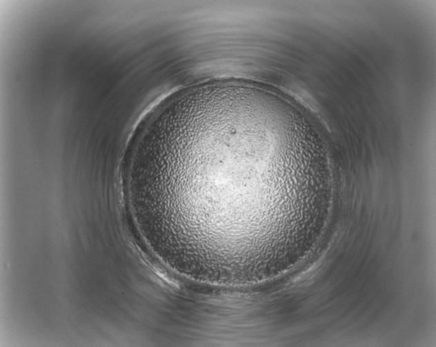 X0000063450782200601231351