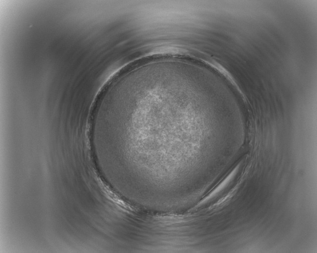 X0000063450783200601231351