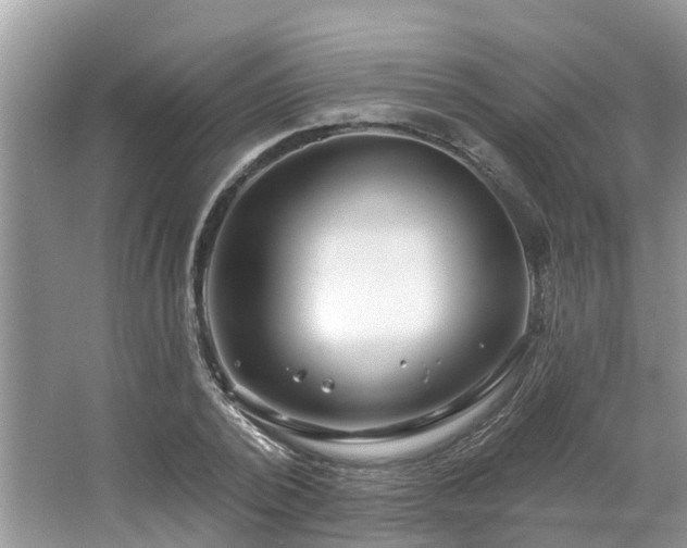 X0000063450784200601231351