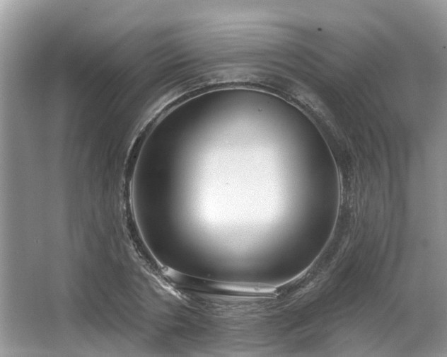 X0000063450786200601231351