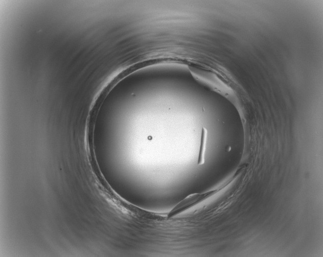 X0000063450788200601231351