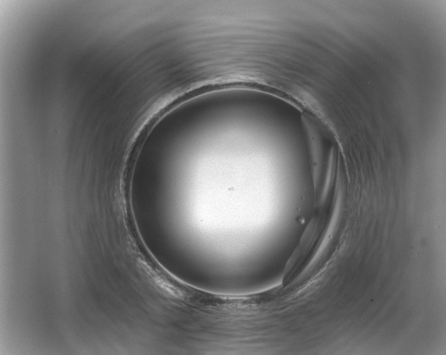 X0000063450789200601231351