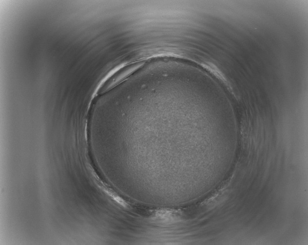 X0000063450790200601231351