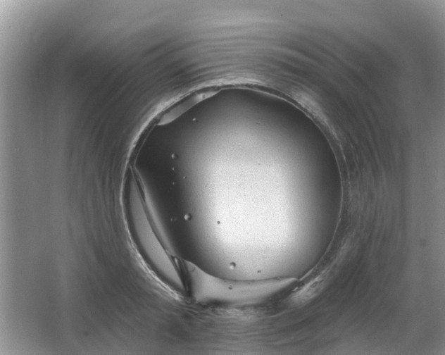 X0000063450797200601231350