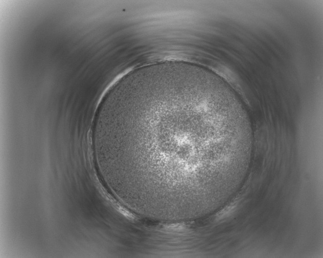 X0000063450798200601231350