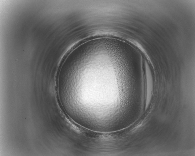 X0000063450799200601231350