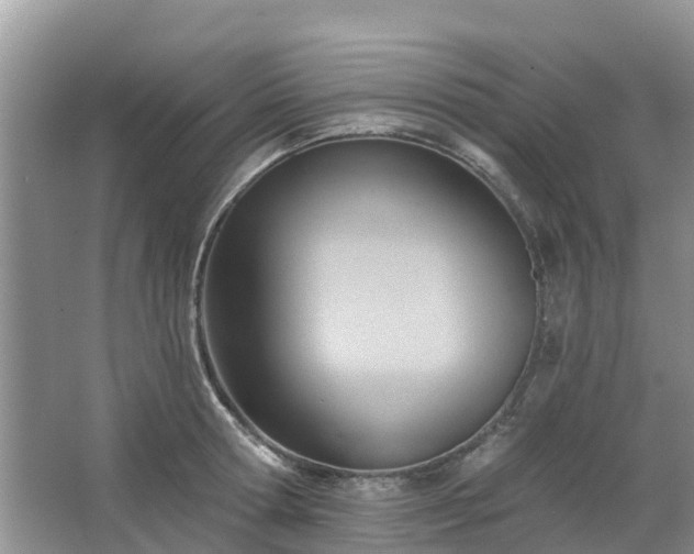 X0000063450802200601231350