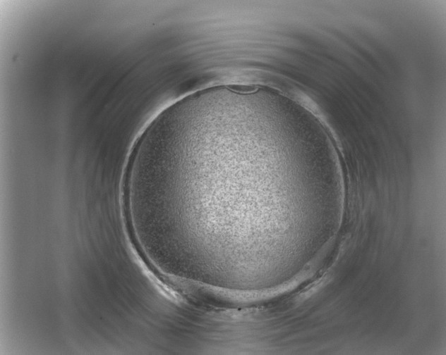 X0000063450803200601231350