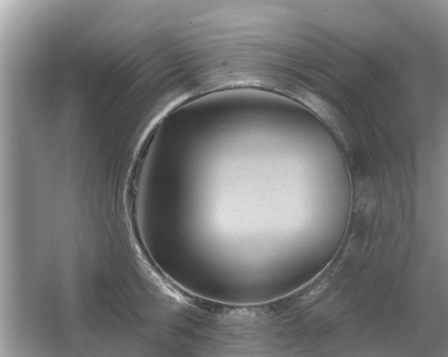 X0000063450806200601231350