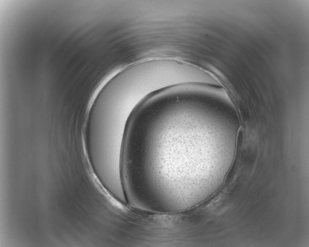 X0000063450812200601231350