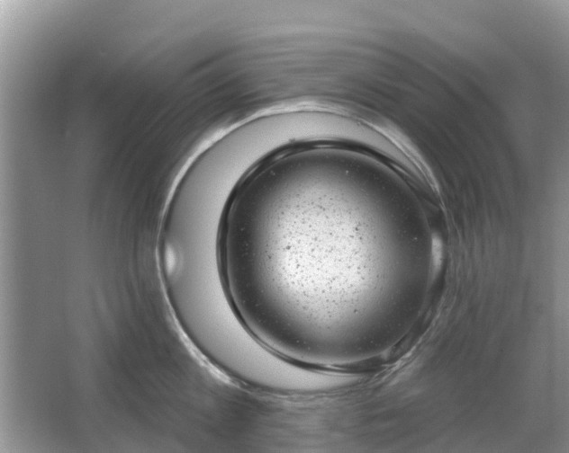 X0000063450813200601231350