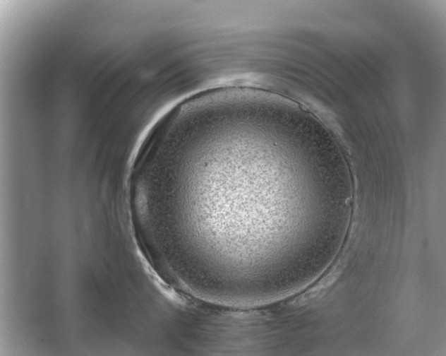 X0000063450816200601231350