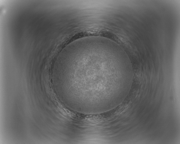 X0000063450817200601231349