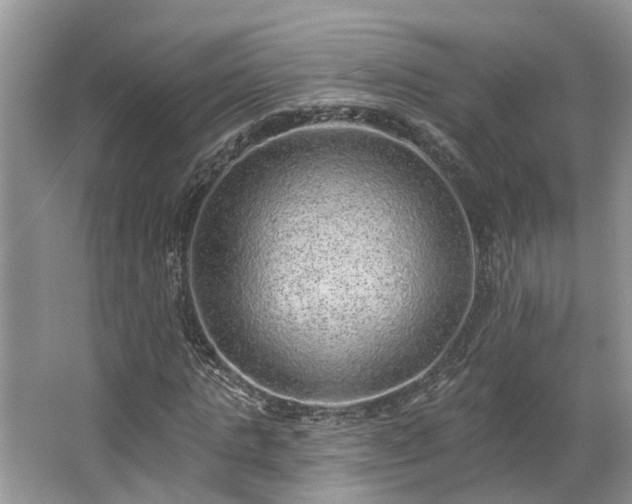 X0000063450821200601231349