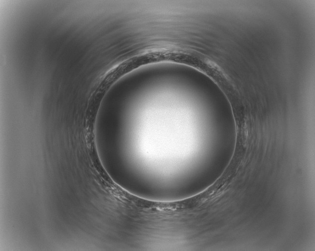 X0000063450822200601231349