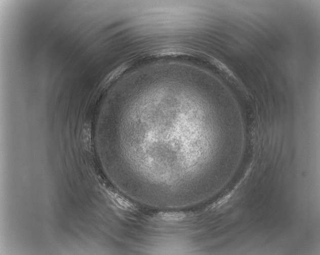 X0000063450825200601231349