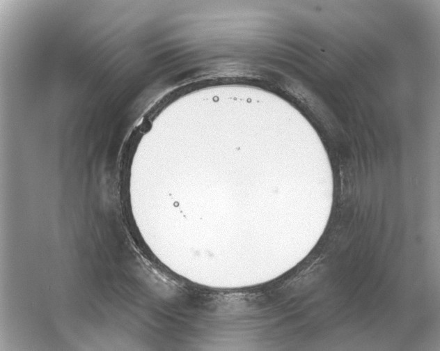 X0000063450828200601231349