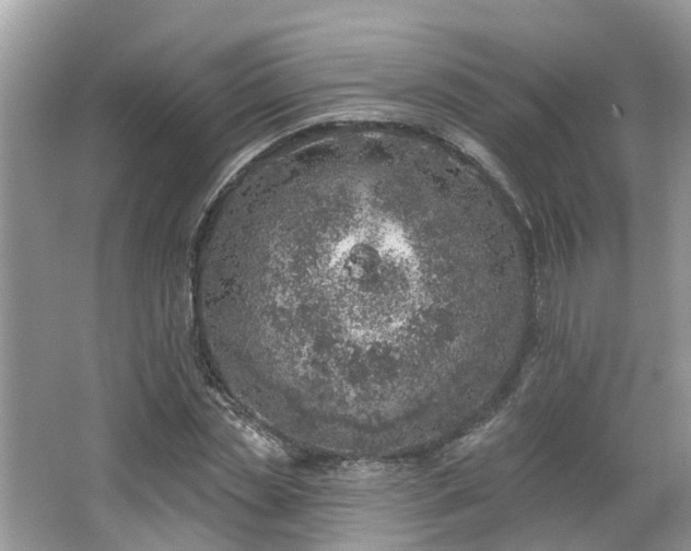 X0000063450829200601231350