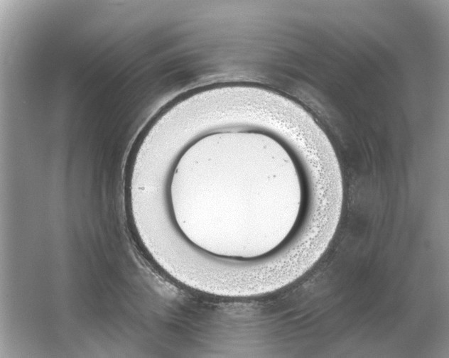 X0000063450836200601231350