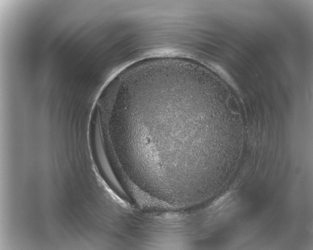 X0000063450839200601231350