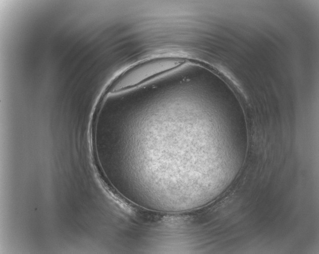 X0000063450840200601231350