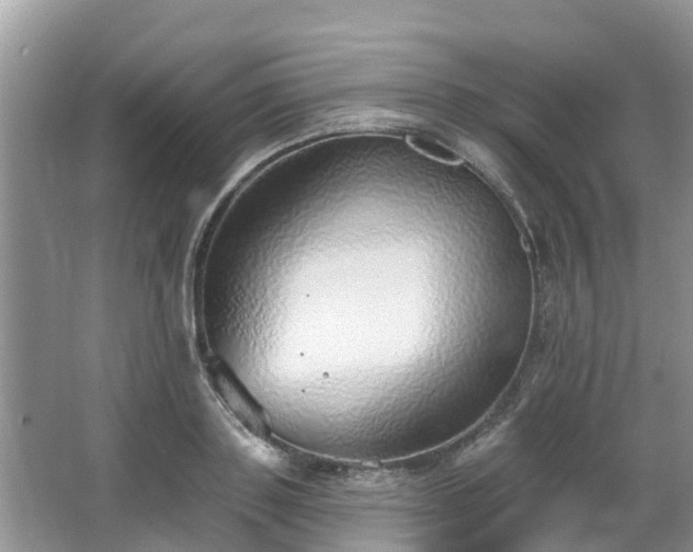 X0000063450843200601231350