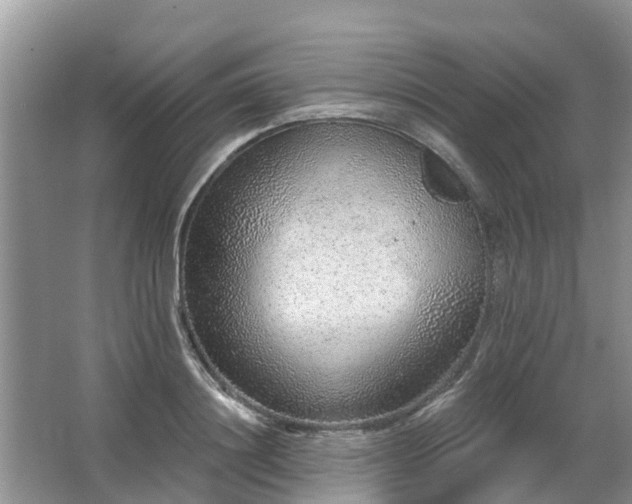 X0000063450844200601231350