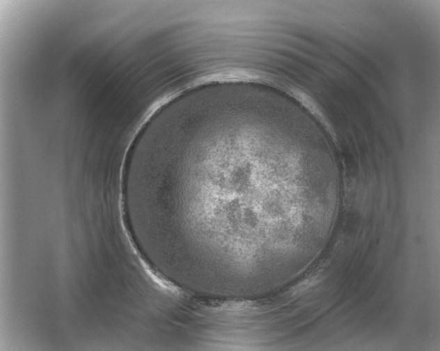 X0000063450845200601231350