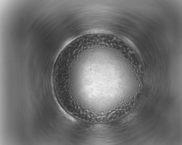 X0000063450847200601231350