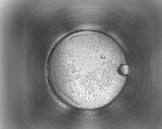 X0000063450848200601231350