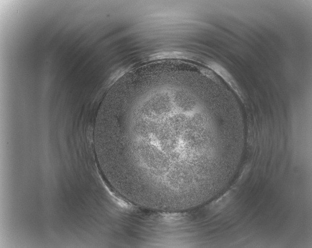 X0000063450849200601231350