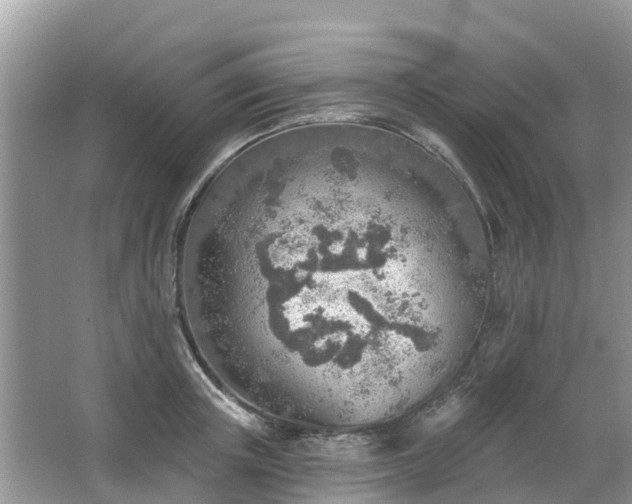 X0000063450851200601231350