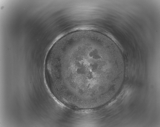 X0000063450853200601231350