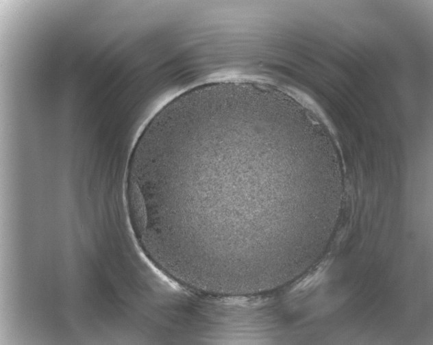 X0000063450855200601231350