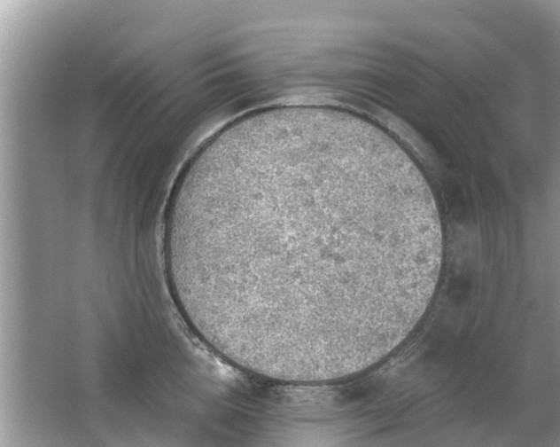 X0000063450856200601231350