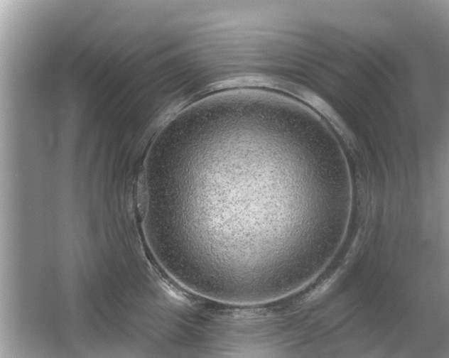 X0000063450857200601231350