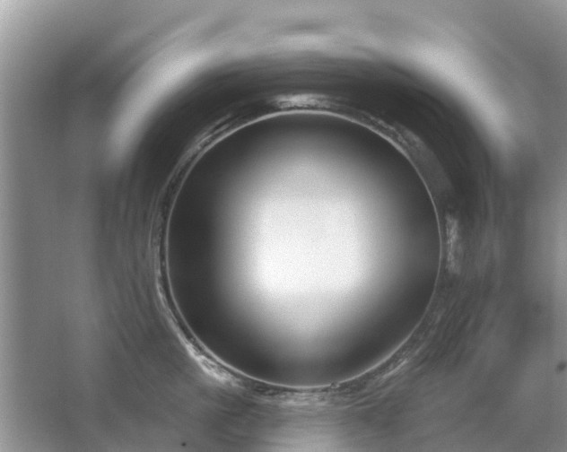 X0000063450861200601231350