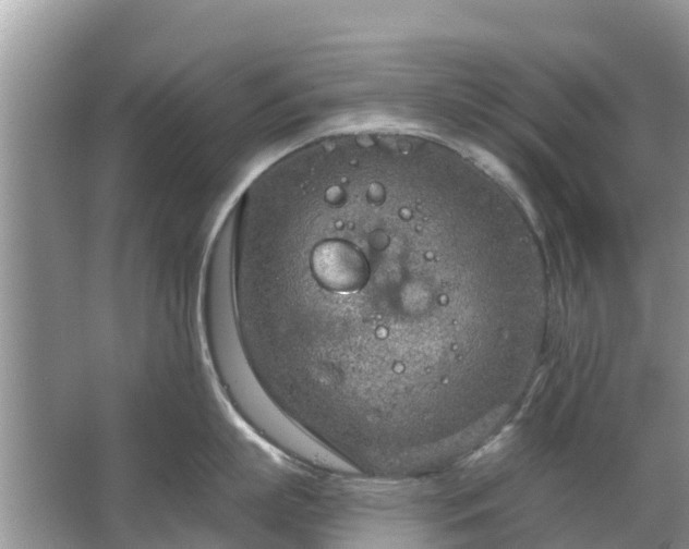 X0000063450863200601231350