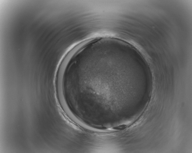 X0000063450864200601231350