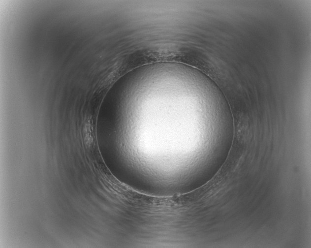 X0000063450866200601231349