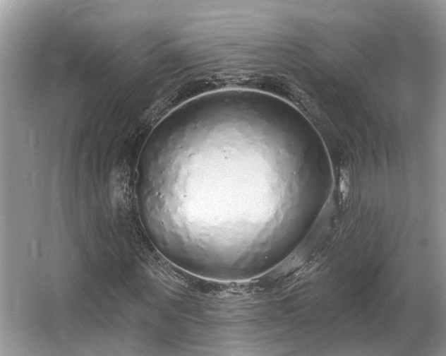 X0000063450867200601231349