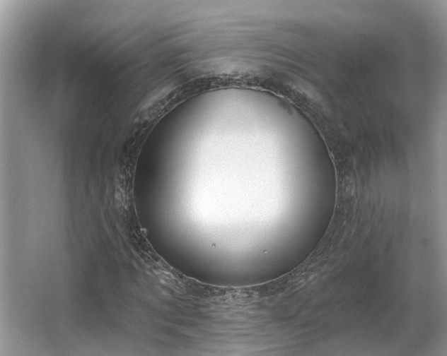 X0000063450869200601231349