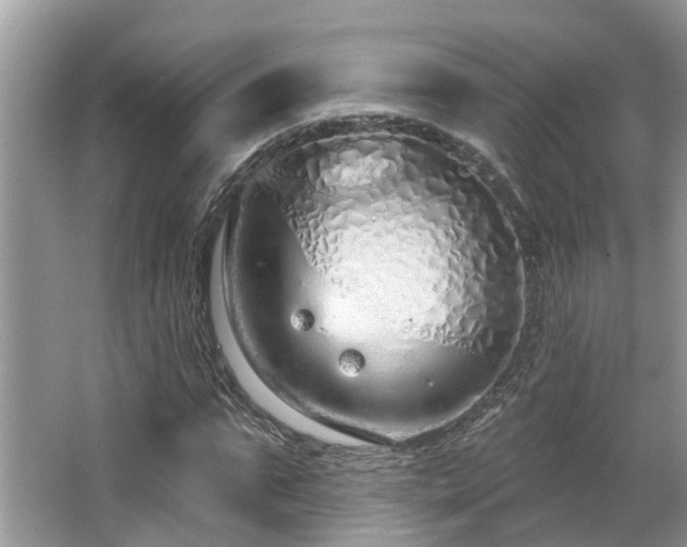 X0000063450871200601231349