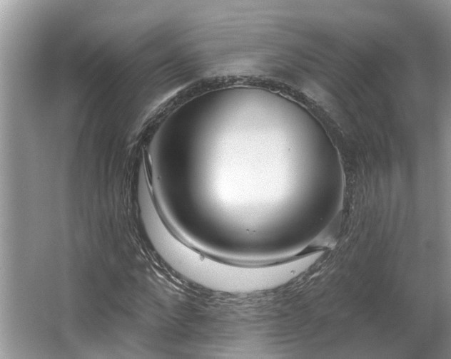 X0000063450872200601231349