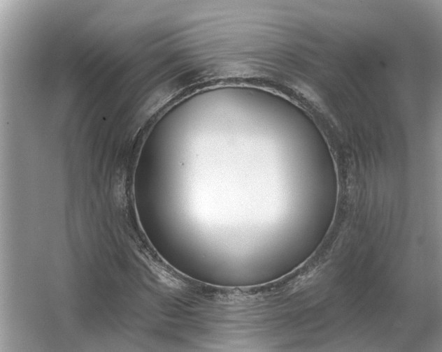 X0000063450873200601231349