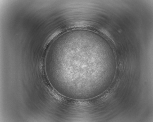 X0000063450874200601231349