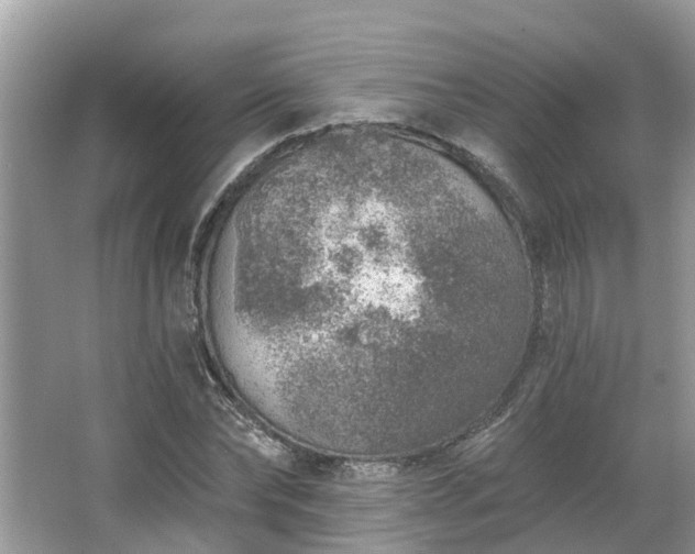 X0000063450878200601231349