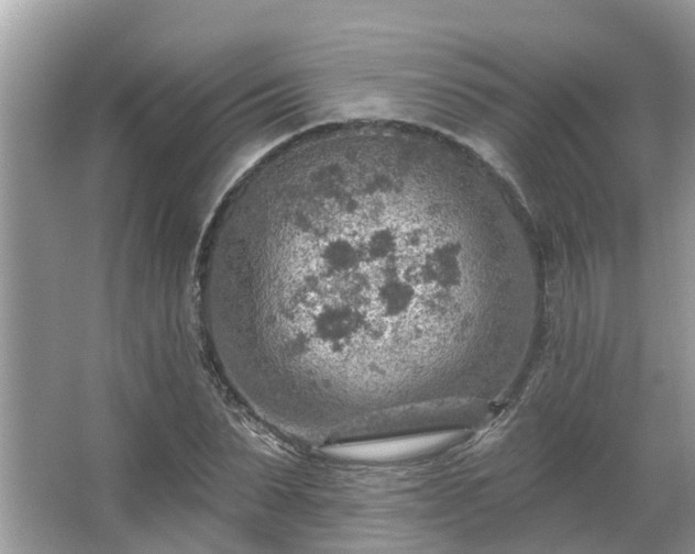 X0000063450879200601231349